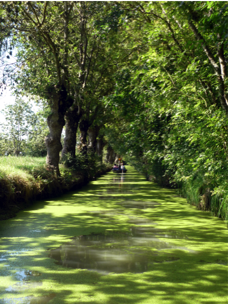 Parc du Marais Poitevin